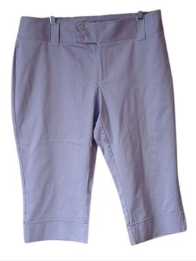 Carolina Blues Purple Capris Size 18W